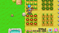 Harvest Moon: Friends of Mineral Town (GBA)