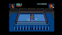 WWF Wrestlemania: Steel Cage Challenge (Game Gear)