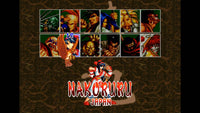 Samurai Shodown (AES)