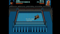WWF Wrestlemania: Steel Cage Challenge (Game Gear)