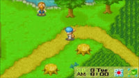 Harvest Moon: Friends of Mineral Town (GBA)