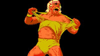 WWF Wrestlemania (NES)