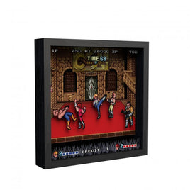 Pixel Frames 9x9 Shadow Box Art: Double Dragon