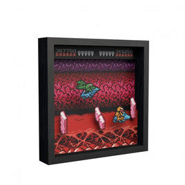 Pixel Frames 9x9 Shadow Box Art: Battleloads NES Turbo Tunnel
