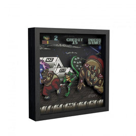 Pixel Frames 9x9 Shadow Box Art: Battletoads - Big Bad Boot
