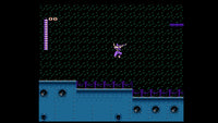 Shadow of the Ninja (NES)