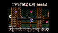 Ninja Gaiden III: The Ancient Ship Of Doom (NES)