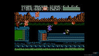 Ninja Gaiden II: The Dark Sword of Chaos (NES)