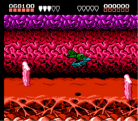 Battletoads (NES)