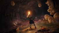 Elden Ring: Collector's Edition (PS5)
