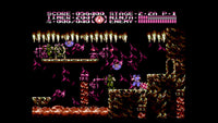 Ninja Gaiden III: The Ancient Ship Of Doom (NES)