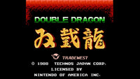 Double Dragon (NES)