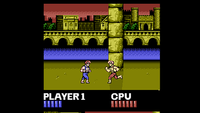 Double Dragon (NES)