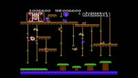 Donkey Kong Classics (NES)