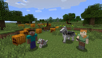 Minecraft: Wii U Edition (Wii U)