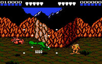 Battletoads (NES)