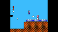 Super Mario Bros. 2 (NES)