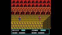 Double Dragon III: The Sacred Stones (NES)