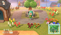 Animal Crossing (GameCube)