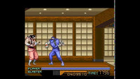 Ninja Warriors (SNES)