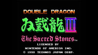 Double Dragon III: The Sacred Stones (NES)