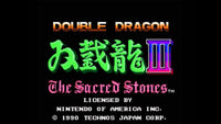 Double Dragon III: The Sacred Stones (NES)