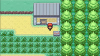 Pokemon: Leaf Green Version (GBA)