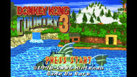 Donkey Kong Country 3 (GBA)