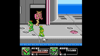 Teenage Mutant Ninja Turtles III: The Manhattan Project (NES)